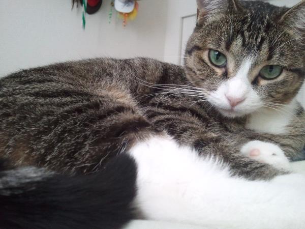 /Images/uploads/Humane Society of Utah/HSUCalendar/entries/723thumb.jpg